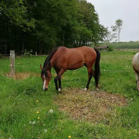 Pansiyon Tankefuld Living's Horsefarm *