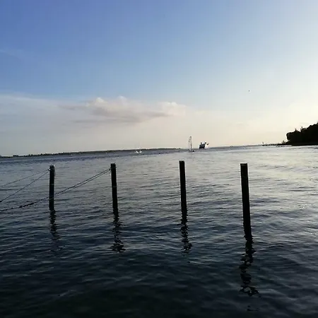 Homestay Tankefuld Living's Horsefarm *